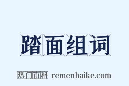 踏面组词是什么意思的图片